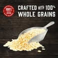 thumbnail image 3 of Kodiak Cakes Baker Mills Power Cakes Flapjack and Waffle Mix Wholegrain Buttermilk 20 oz Pack of 4, 3 of 22