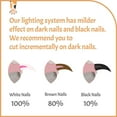thumbnail image 3 of Jinsinto Reinvented Pet Nail Clippers for Your Pal - Ultra Bright LED Light for Bloodline | Razor Sharp and Durable Blade, 3 of 4