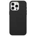 thumbnail image 1 of OtterBox Symmetry Cactus Leather Case for iPhone 15 Pro Max, 1 of 4