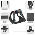 thumbnail image 6 of Lsque Tropical Palm Leaves Dog Harness, No-Pull Pet Harness with 2 Leash Clips, Adjustable Soft Padded Dog Vest with Easy Control Handle for Large Dogs-X-Large, 6 of 9