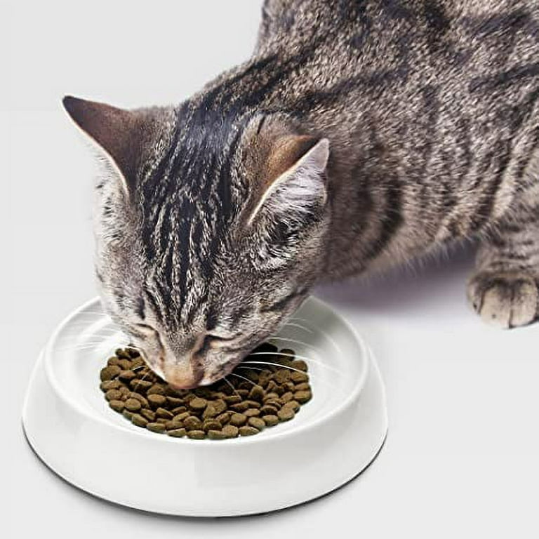 CatGuru Cat Bowls Whisker Stress Free Food Bowl Reliefs Fatigue Wide Non Slip Shallow Dish Feeding Watering Supplies Set of 2 Marshmallow Walmart