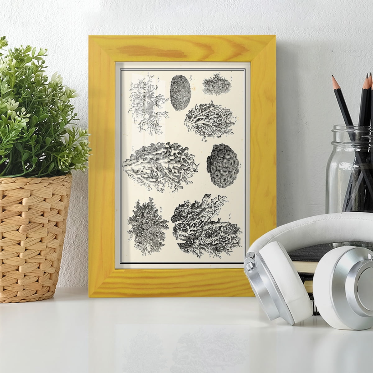Aegean Collection IV -Framed Print w/glass-Sunflower Yellow