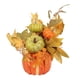 thumbnail image 5 of Flor de calabaza Artificial, accesorios para fotos de Acción de Gracias, arreglo Floral de boda, escultura de calabaza, decoraciones de adorno de, 5 of 9
