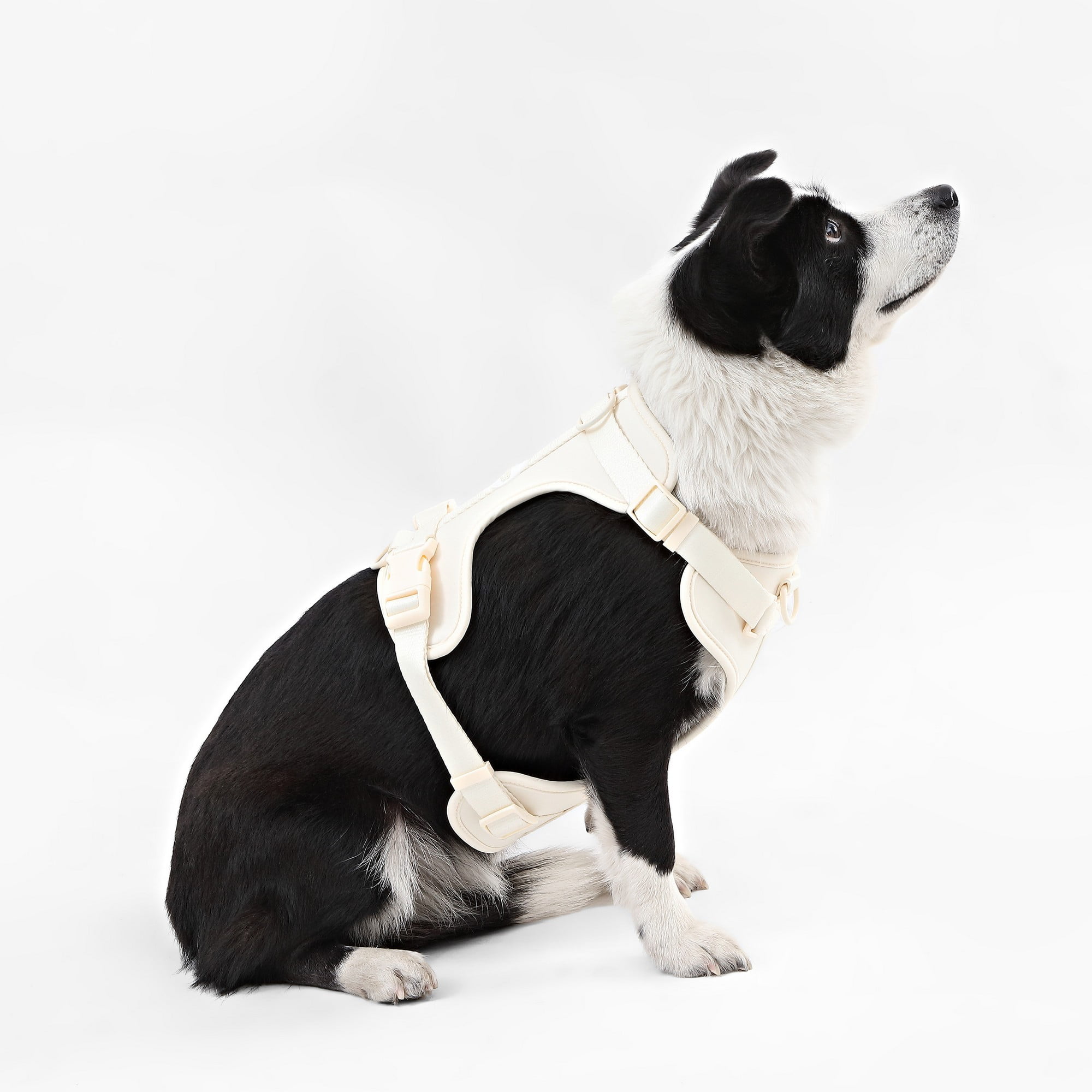 THE LICKER STORE Arlo Large Adjustable Soft Padded No Pull Pet Harness with 3 Buckles and 3 Leash Clips, Almond, HNS1003L