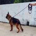 thumbnail image 2 of health dog collar（3mm*60cm）, 2 of 3