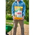 thumbnail image 5 of Scotts Turf Builder WinterGuard Fall Weed & Feed3, 14.29 lbs., 5 of 14