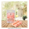 thumbnail image 4 of Cubos de Cera Hometrends Bubbly Champagne Aroma 70 G, 4 of 4