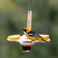 thumbnail image 4 of Oriole Bird Feeders for Outdoors, Jelly and Oranges Bird Feeder Outside Hanging, 4 of 6