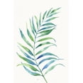 thumbnail image 2 of Nan 23x32 White Modern Wood Framed Museum Art Print Titled - Aqua Frond I, 2 of 4