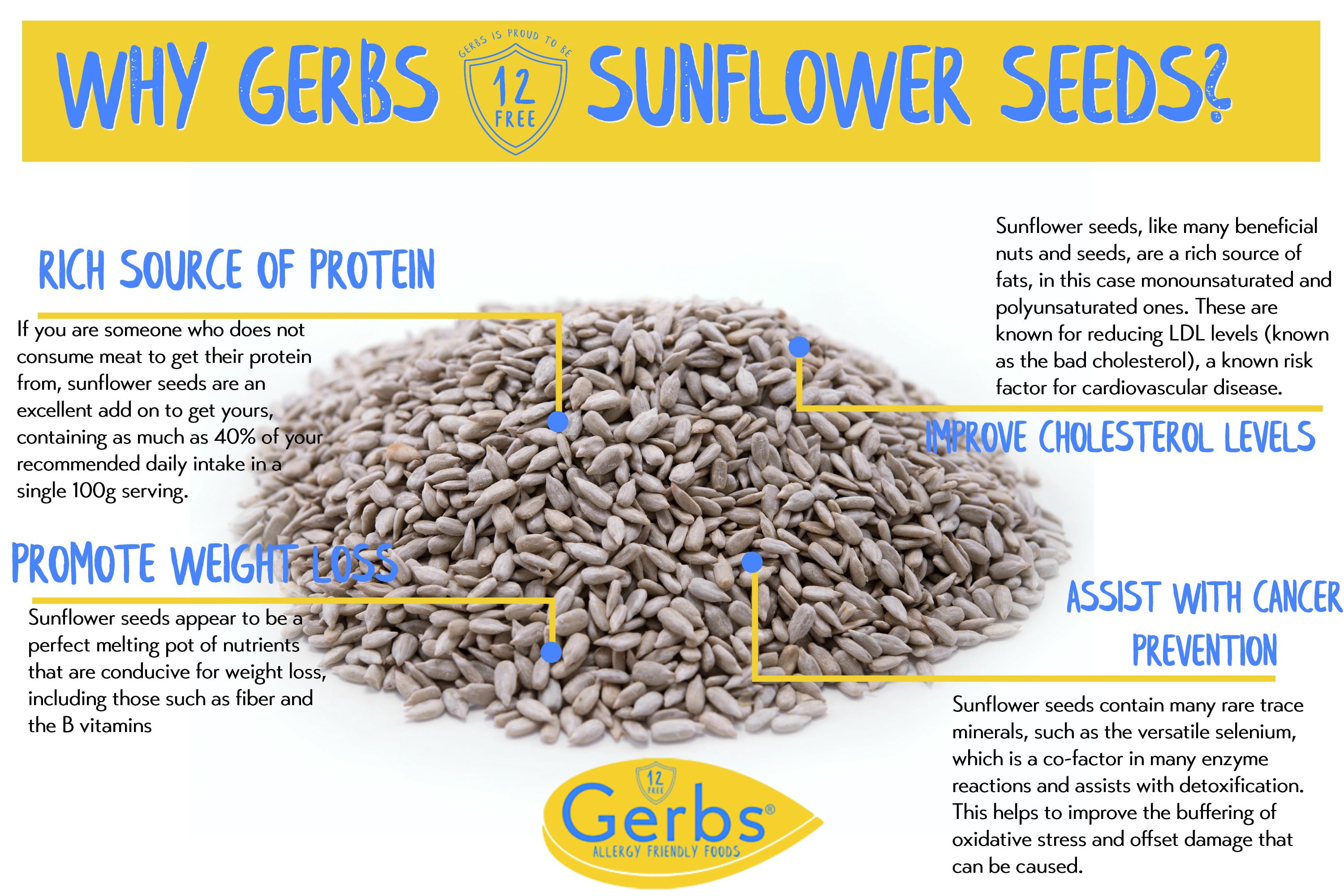 Lightly Sea Salted Sunflower Seed Kernels by Gerbs - 2 LBS. - Top 14 Food Allergen Free & Non GMO - Vegan & Kosher