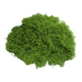 thumbnail image 1 of Musgo verde artificial de 30/100 g para manualidades, plantas de interior, jardines de hadas, centros de mesa, peceras, micropaisajes, musgo artificial decorativo., 1 of 8