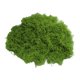 thumbnail image 1 of Musgo verde artificial de 30/100 g para manualidades, plantas de interior, jardines de hadas, centros de mesa, peceras, micropaisajes, musgo artificial decorativo., 1 of 8