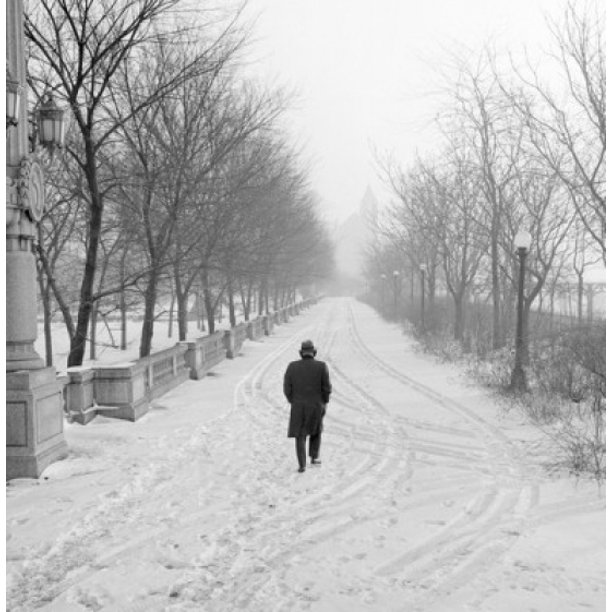 Lonely Man Walking In Winter Park Poster Print 18 X 24 Walmart Com Walmart Com