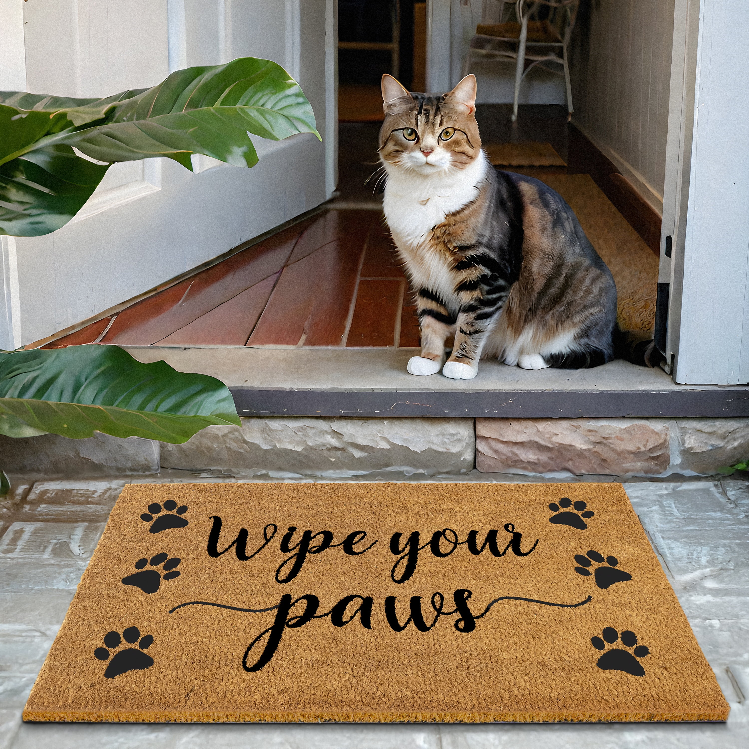 MAINEVENT Wipe Your Paws Doormat 30x17 Inch, Funny Dog Outdoor Welcome Mat for Outside