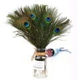 thumbnail image 3 of 30PCS Peacock Feathers 10-12 Inch, Green Peacock Eye Feathers for DIY Crafts Art Halloween Mardi Gras Masquerade Costume Wedding Home Party Christmas Decorations, 3 of 7