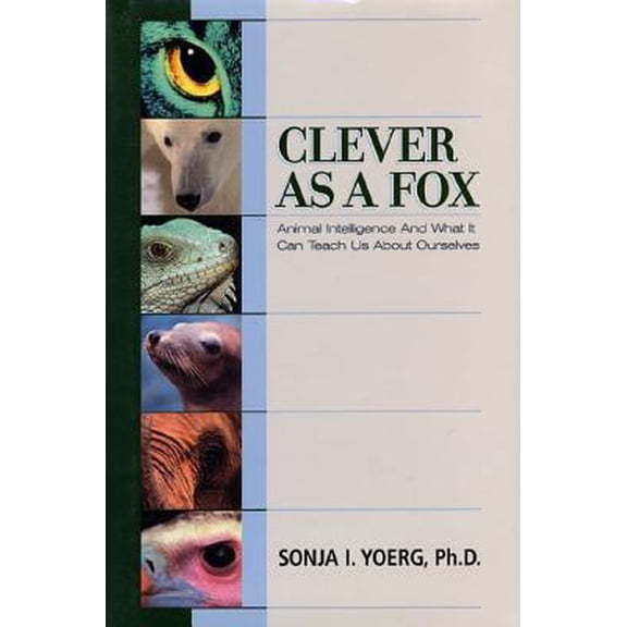 Pre-Owned Clever As a Fox : Animal Intelligence And What It Can Teach Us About Ourselves (Hardcover) 158234115X 9781582341156