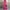 Hot Pink, variant on Idoravan Women Sets Clothing Clearance Womens Casual Fashion Sexy Solid Color Long Sleeve Tight Fitting Onesie Wide Leg Pants Two Piece Set