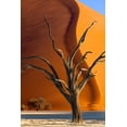 thumbnail image 2 of Jaynes Gallery 23x32 White Modern Wood Framed Museum Art Print Titled - Namibia-Sossusvlei-Namib-Naukluft National Park-Composite of dead tree and sand dune, 2 of 4