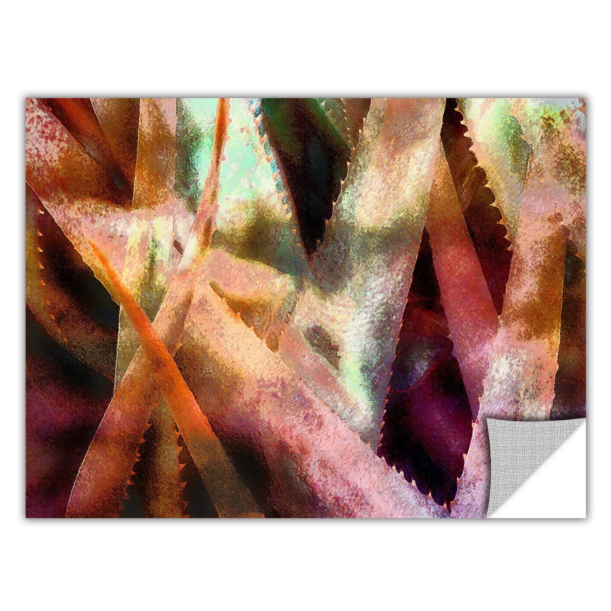 Dean Uhlinger Suculenta Paleta 2, Art Appeelz Removable Wall Art Graphic