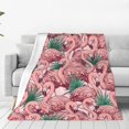 thumbnail image 3 of Pink Flamingo Blanket 50''''x60'''' Tropical Throw Blanket for Women Girls Lightweight Soft Plush for Crib Couch Travel Gifts for Flamingo Lovers Birthday Decorations Flamingo Decor Abstract Beautiful, 3 of 6