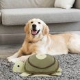 thumbnail image 5 of BKER Turtle For Puppy Interactive Sniffing And Grabbing Doll Soft, 5 of 5