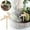 A, variante sur TIELUTT Jardin DIY Suspensions en Bois pour Pots de Fleurs Ornement d'Identification Fait Main Chapeau en Verre Ornement de Noël Transparent pour Artisanat en Vrac Petite Poule Ornement Guirlande pour Décoration
