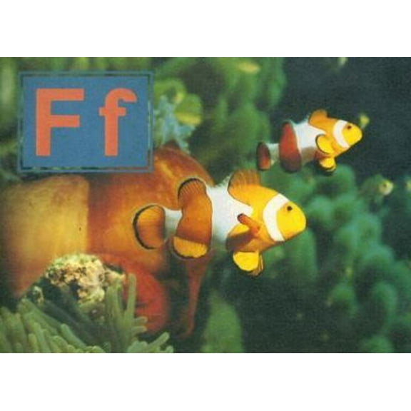 Pre-Owned Ff (Paperback) 0817256059 9780817256050