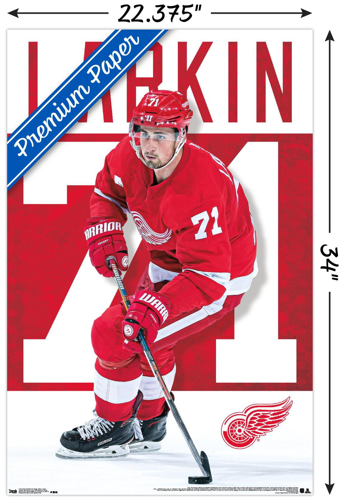Dylan Larkin Locker Room Nameplate from 2019 Player Media Tour - Detroit  Red Wings - NHL Auctions