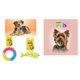 thumbnail image 4 of Paquete Nupec cachorro 15 kg + 1 juguete caucho fancy pets, 4 of 5