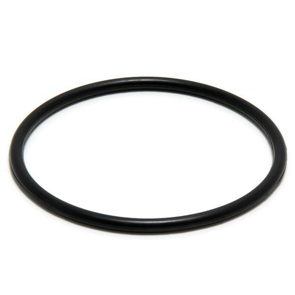 Zodiac Duoclear Electrode O-Ring W151211