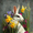 White Rabbit and Spring Flowers, variant on Qisvanset Colorful Cat With Sunglasses Canvas Print 15.75x11.81 Inches