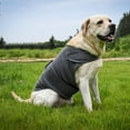 thumbnail image 6 of Dog Jacket, Skin-friendly Calming Shirt for Dogs - Dog Vest for Thunder and Separation, Coat for Dogs, 6 of 7