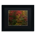 thumbnail image 2 of Trademark Fine Art "Why I Love Autumn" Canvas Art by Kurt Shaffer, Black Matte, Black Frame, 2 of 4
