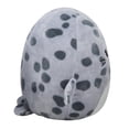 thumbnail image 6 of Squishmallows Official Plush 12 inch Isis the Spotted Seal - Child's Ultra Soft Stuffed Toy, 6 of 7