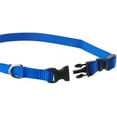 thumbnail image 2 of Coastal Pet Produits 764701 Collier Tuff Réglable 3-8X8-12 Bleu, 2 of 2