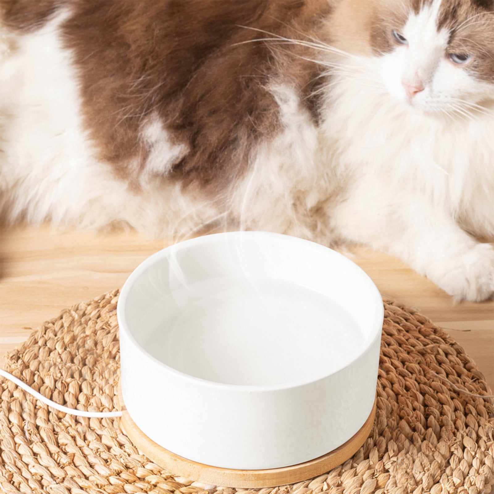 Thermostatic Water Dispenser Ceramic Pet Water Bowl With USB Heating Is Perfectly For Winter Use S