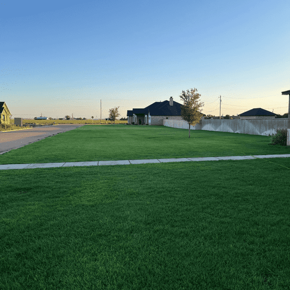 Brownie Brand Seed Kentucky Bluegrass Blue Devil, 5 lbs. Plant Seeds for Sports Fields, Home Lawns. Perennial.