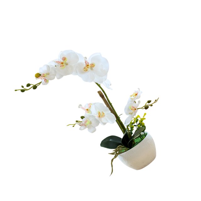 Yuarrent Orquídeas artificiales Flor Decoración para el hogar Ligero Decoración falsa Plantas Cuenco blanco Olla Cocina Oficina Balcón Decoración Blanco Yuarrent HA084089-02