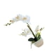 thumbnail image 2 of Bearachild Orquídeas artificiales Flor Decoración para el hogar Ligero Decoración falsa Plantas Cuenco blanco Olla Cocina Oficina Balcón Decoración Blanco Bearachild HA084089-02, 2 of 6