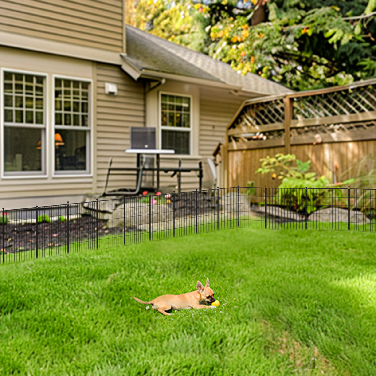 FXW MiniPaws Unleashed Dog Playpen, Expandable & Portable Design for Yard, RV Camping and Indoor Use, for Puppies and Small Dogs, 20-inch 8 Panels