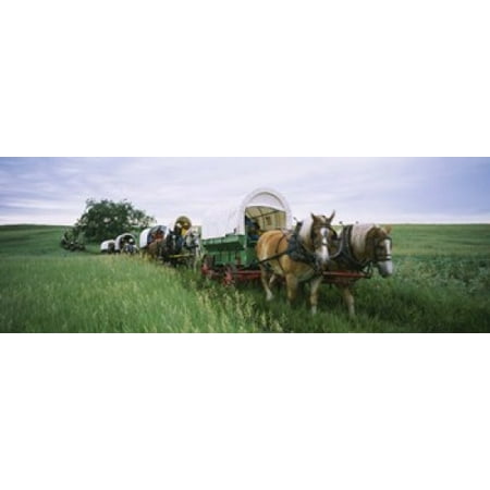 Historical reenactment Covered wagons in a field North Dakota USA Canvas Art - Panoramic Images (36 x 13)
