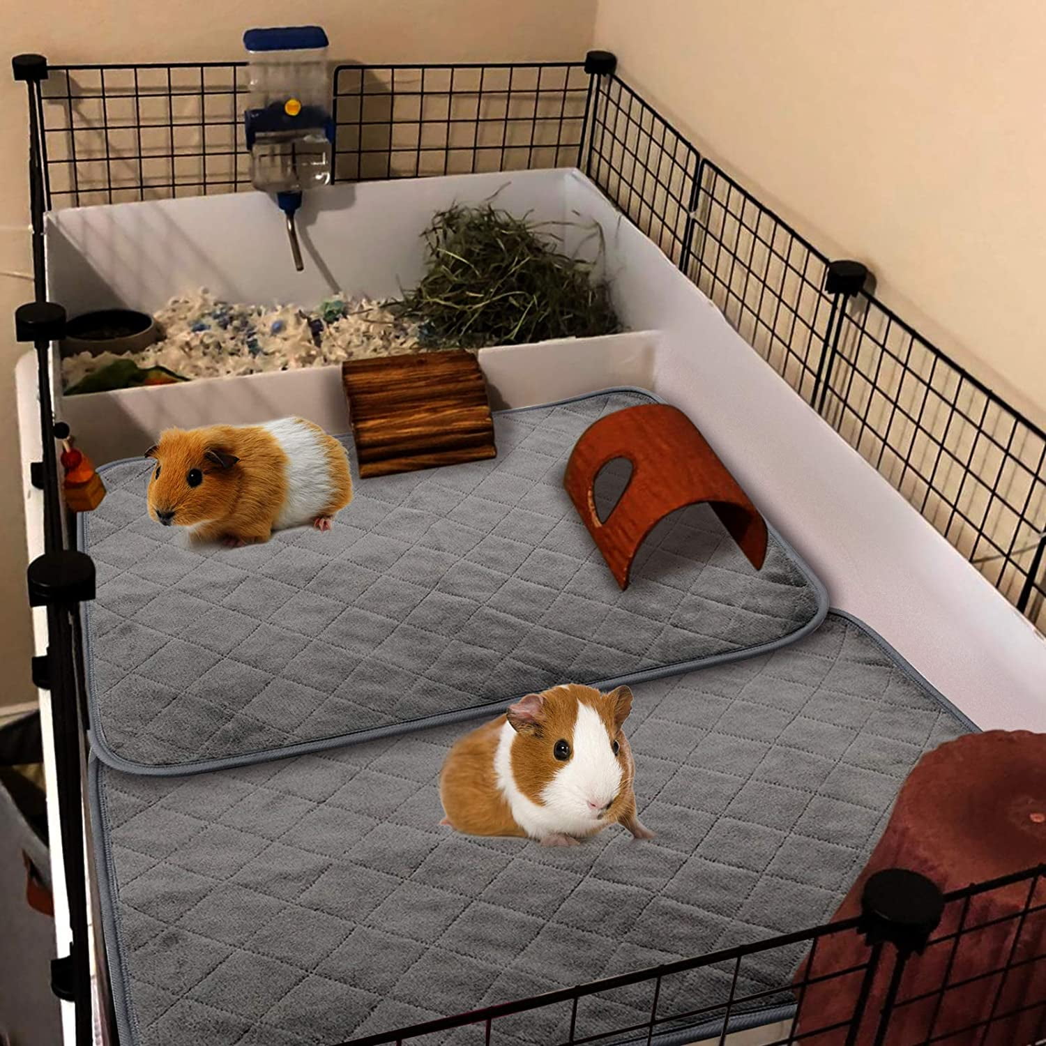 guinea pig fleece