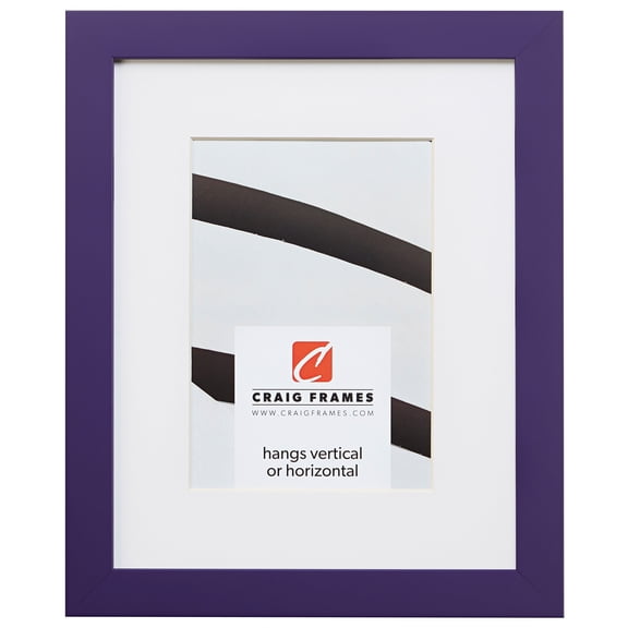Craig Frames Confetti, 20x30 inch Modern Purple Picture Frame Matted for a 16x24 Photo