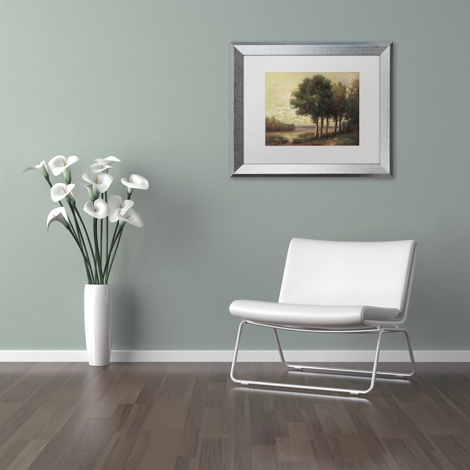 Trademark Fine Art "Tranquility" Canvas Art by Daniel Moises, White Matte, Silver Frame