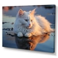 thumbnail image 2 of Designart "Beachside Feline Peace" Animals Cat Canvas Art Print, 2 of 7