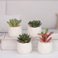 thumbnail image 3 of Amdohai 4 Pack Mini Potted Succulents Fake Succulents Pot Ceramic Artificial, 3 of 7