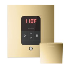 iTempo Square Steam Shower Control in Polished Brass