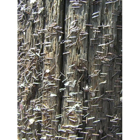 Laminated Poster Staples Telephone Background Urban Post Wood Pole Poster Print 11 x (Best Way To Set Pole Barn Posts)