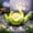 Green, variant on Waitmin LED Solar Lights, Crackle Glass Lotus Decoration, Waterproof Metal Flower for Patio, Lawn, Pathway
