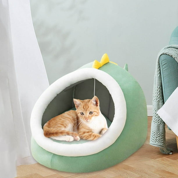 Nice cat shop beds